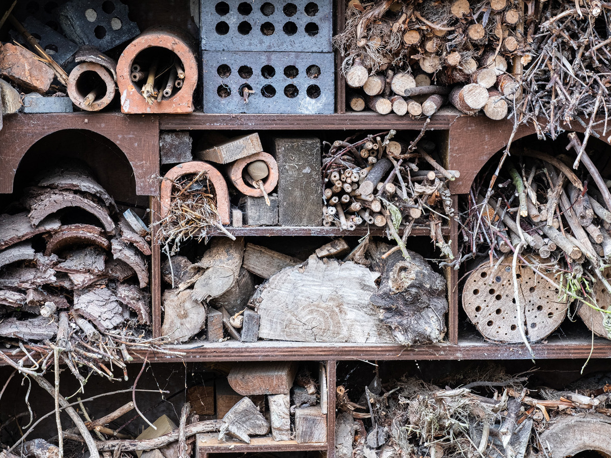 3  The Insect Hotel